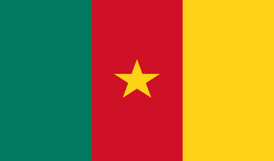 Flag_of_Cameroon.svg.png